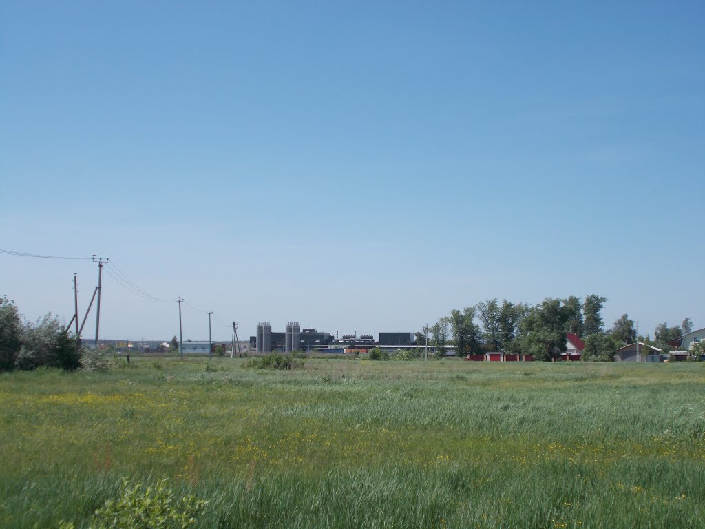 Гжель