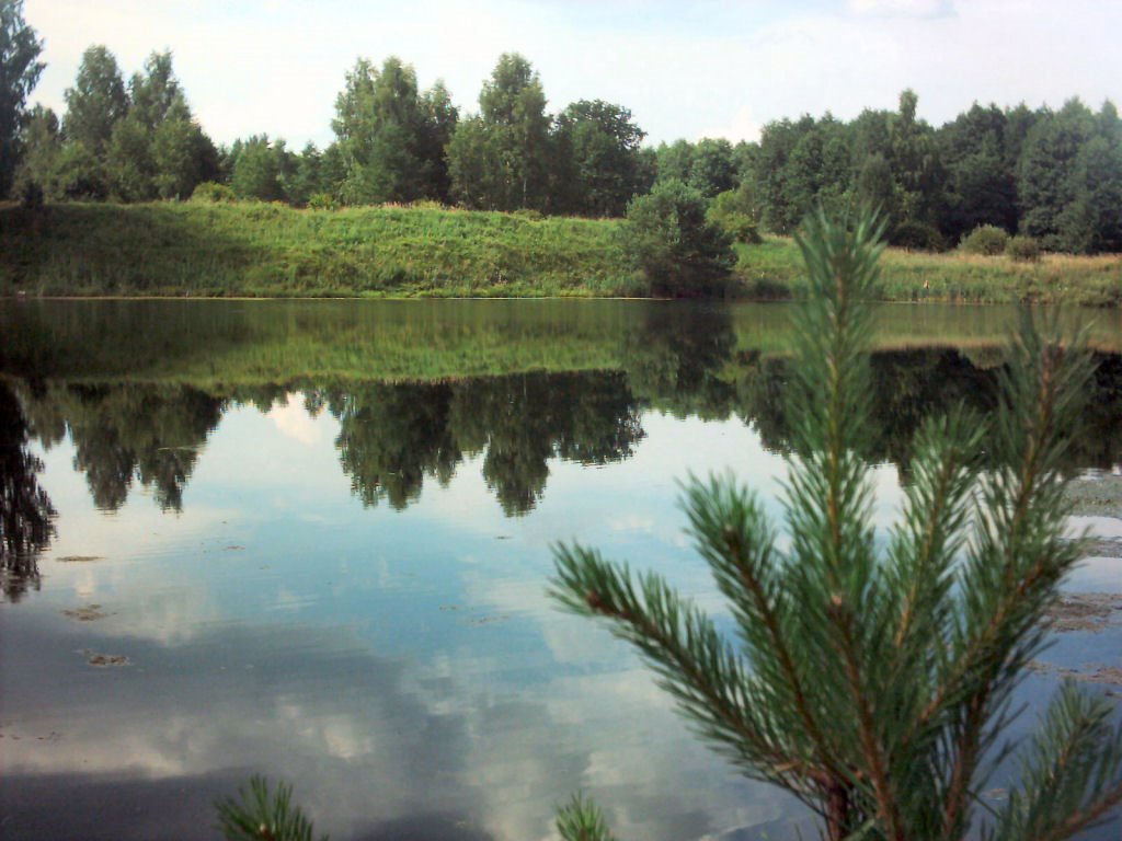 Лесное Озеро за деревней Минино