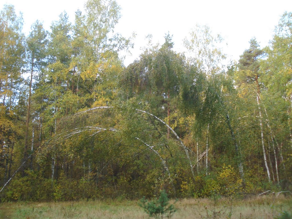 После зимы 2011года