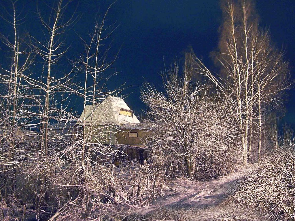 зимняя сказка