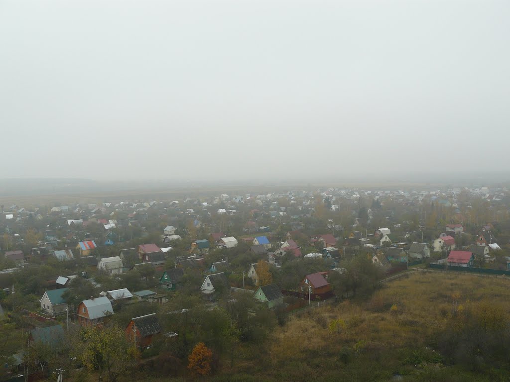 Речицы