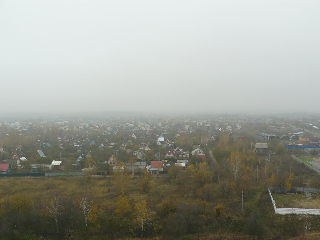 Речицы