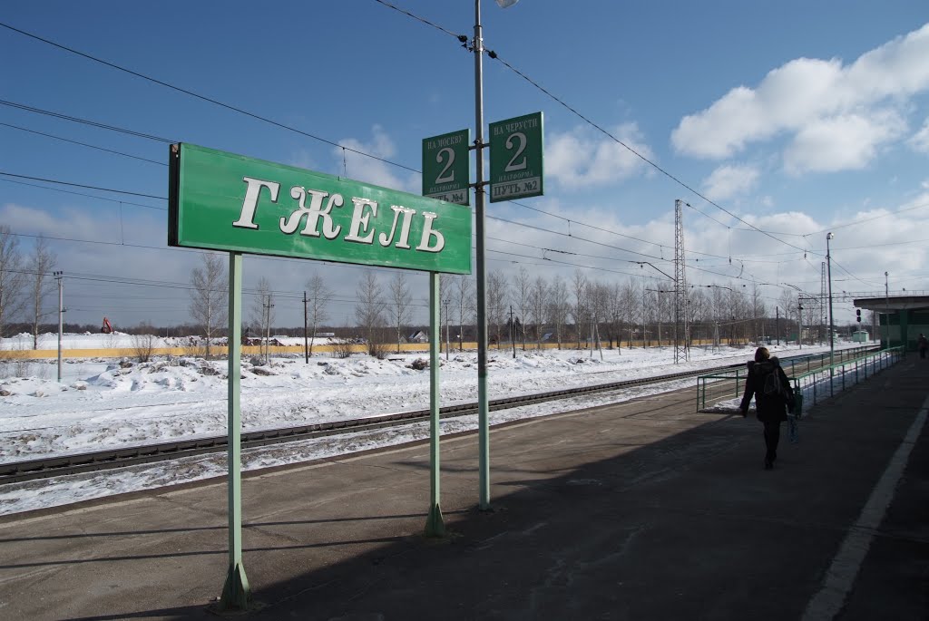 Платформа Гжель