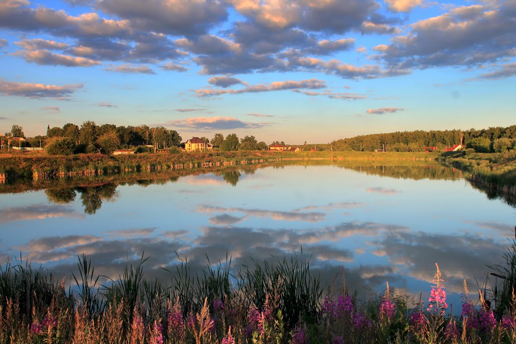 Flowers at the pond