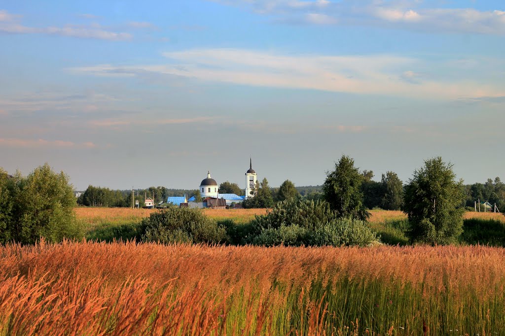 herbage Травостой