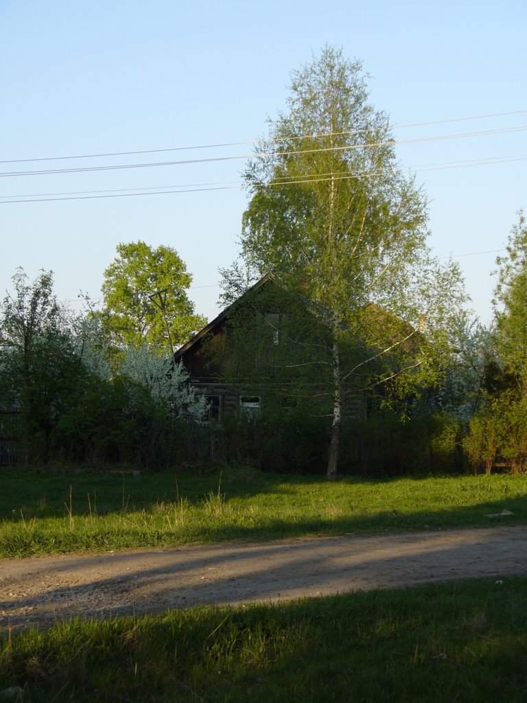 Старый дом
