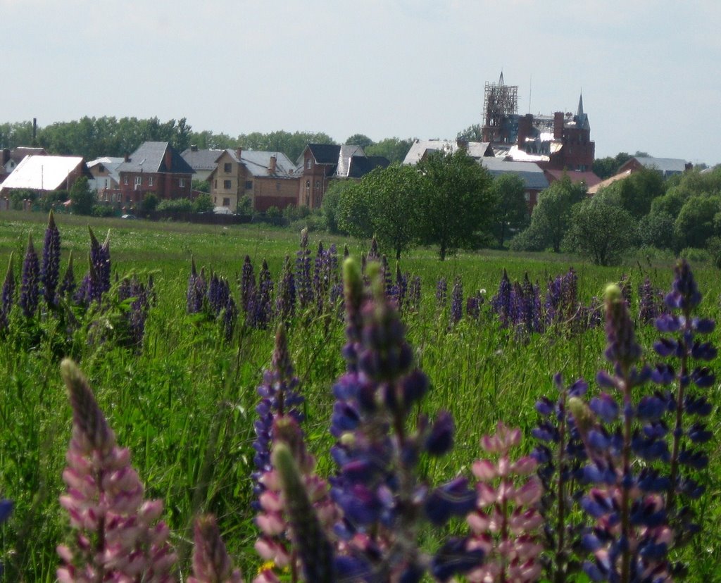 Towers                     Башни
