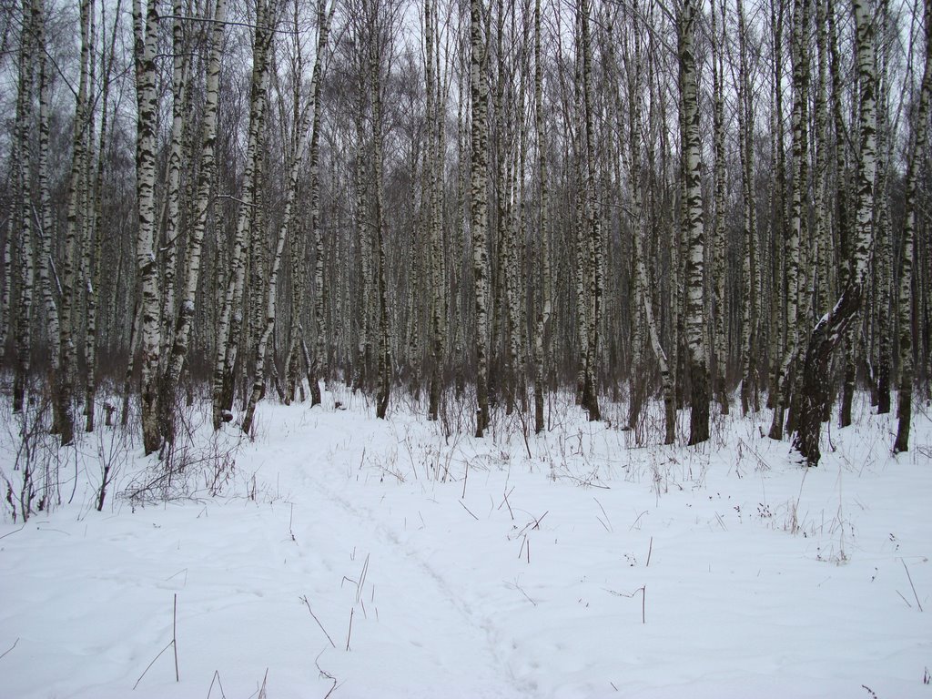 end of January