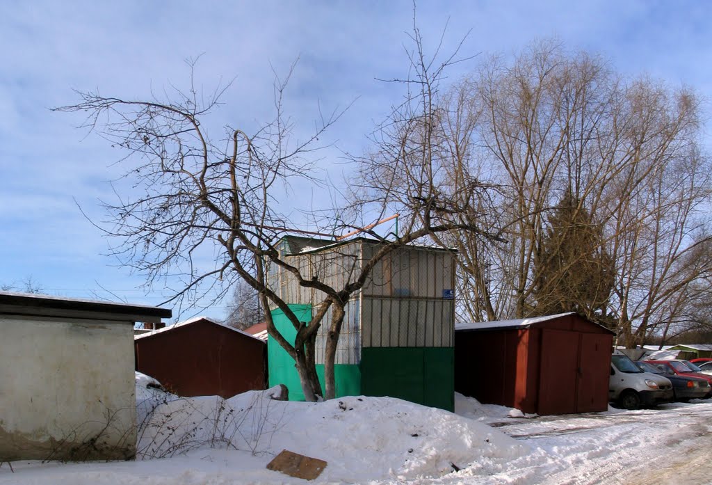 Голубятня