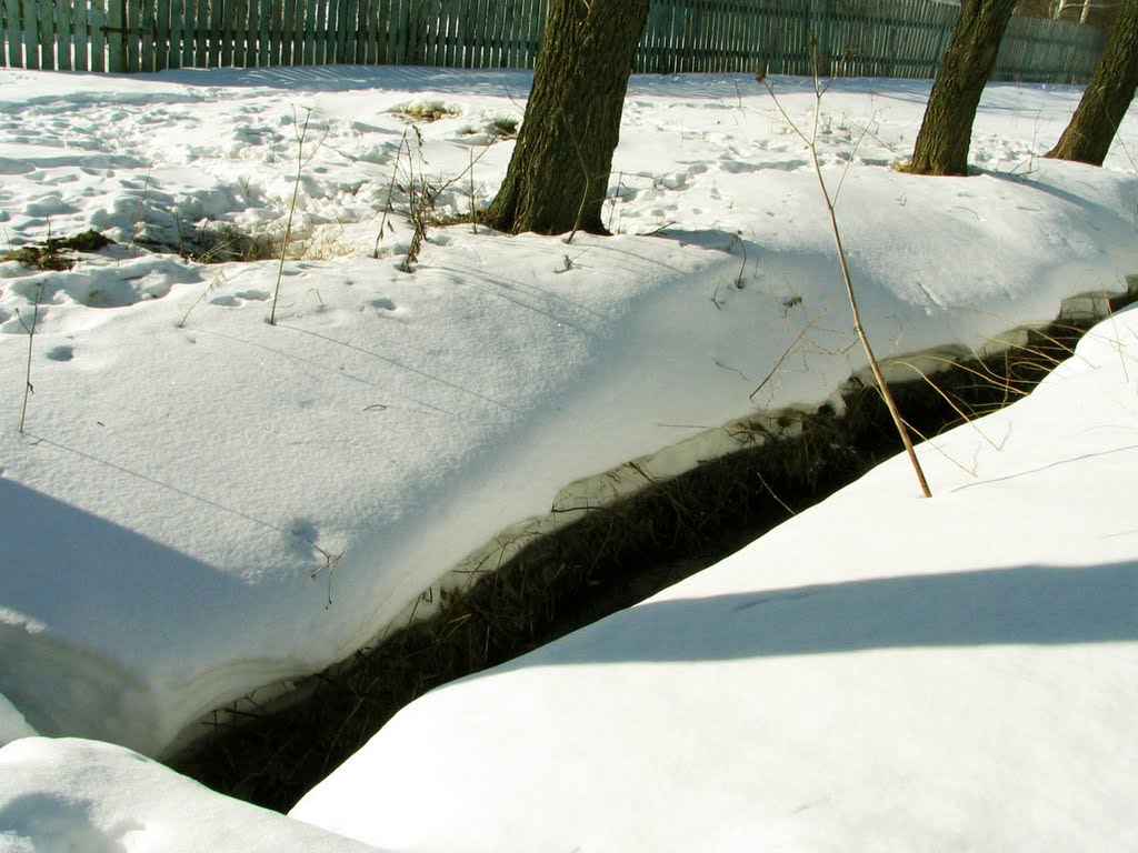 Весна 2010