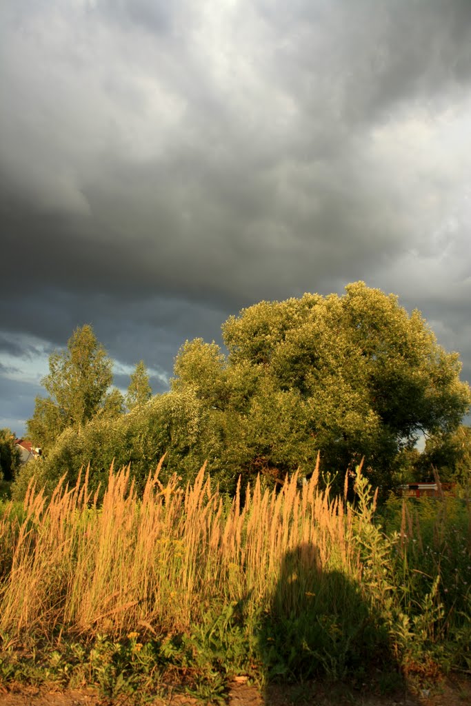 Sun and clouds