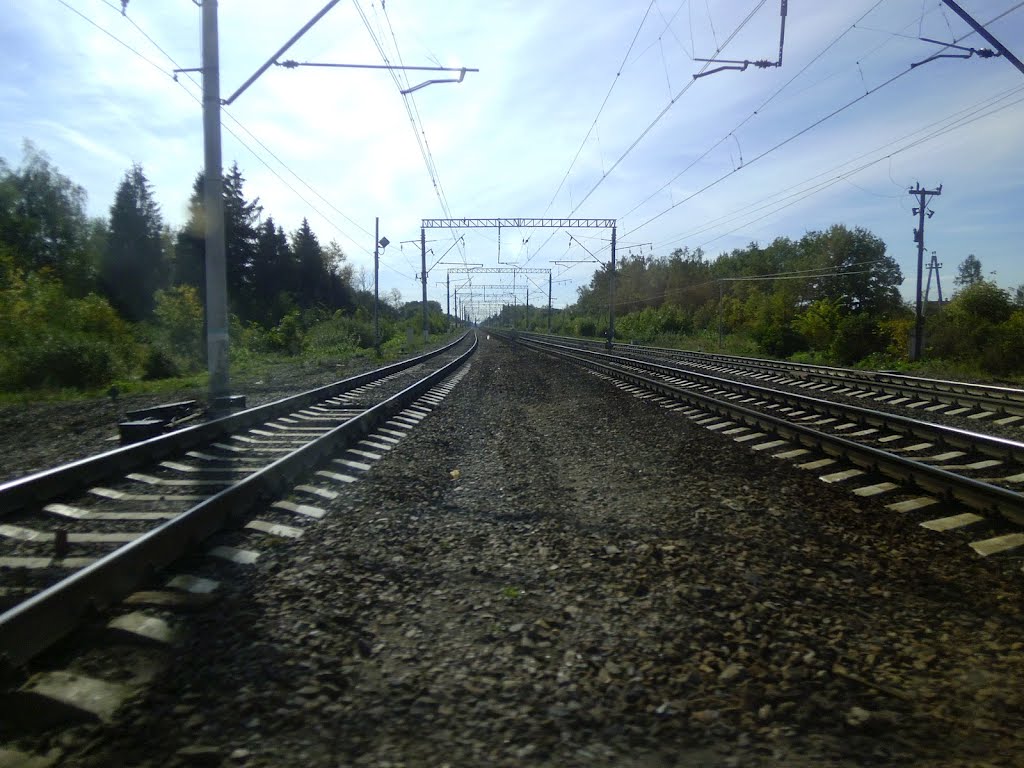 ЖД
