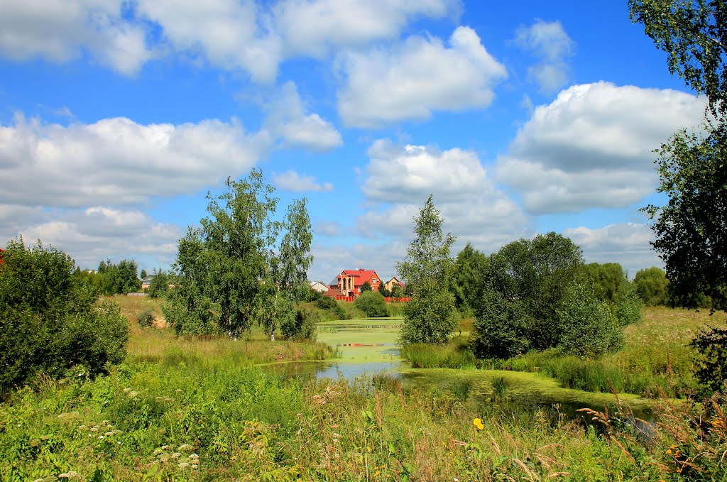 summers day