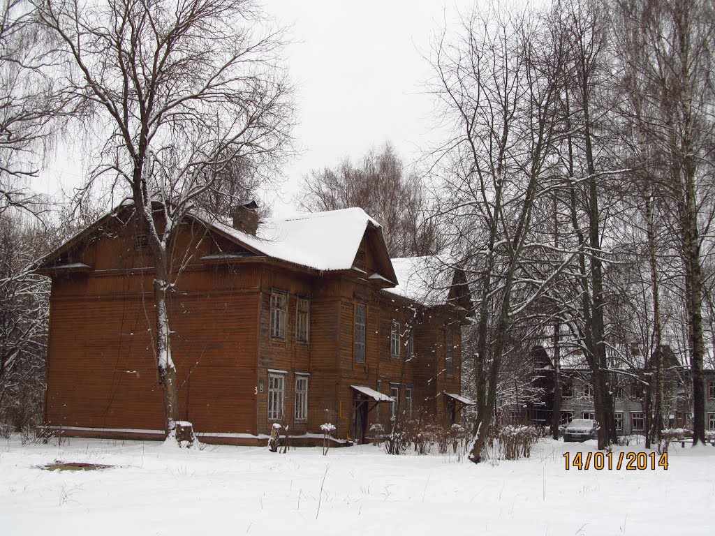 Bolshevistskaya St.
