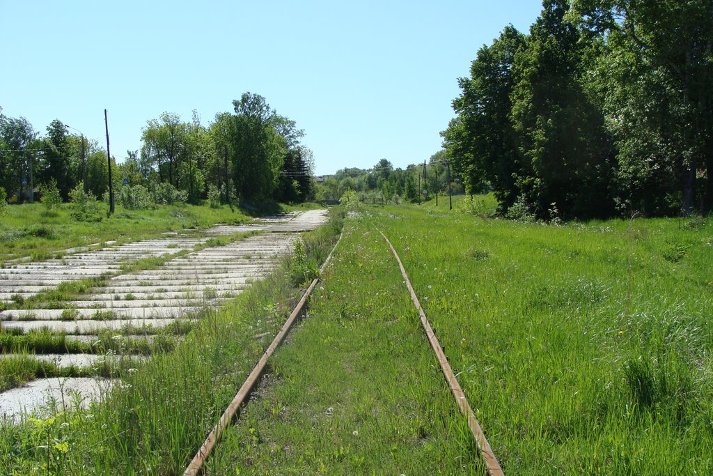 Reshetnikovo