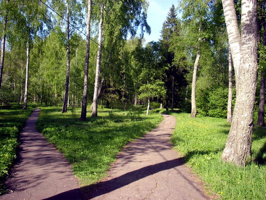 Парк  в  Высоковске