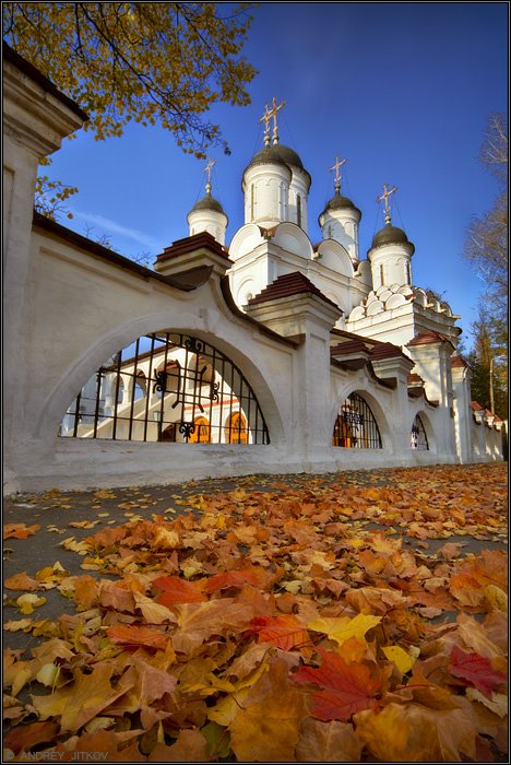 Осень - Autumn