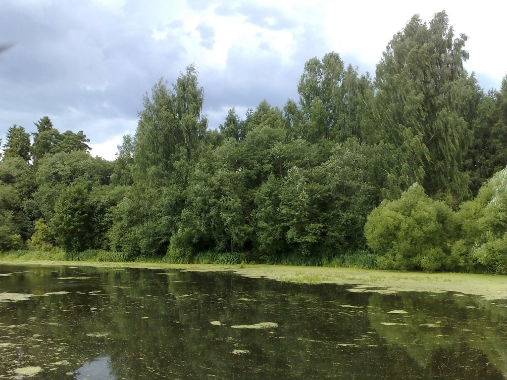 Russian Nature