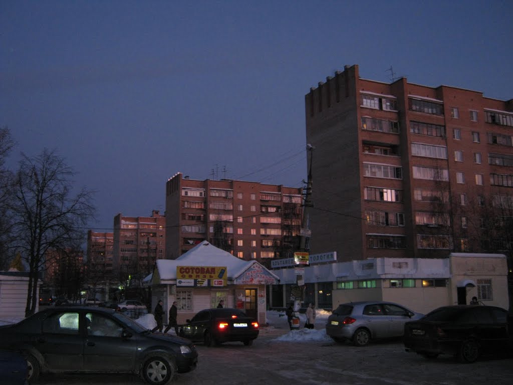 Дома по Можайскому шоссе  /  Houses for Mozhayskoe highway