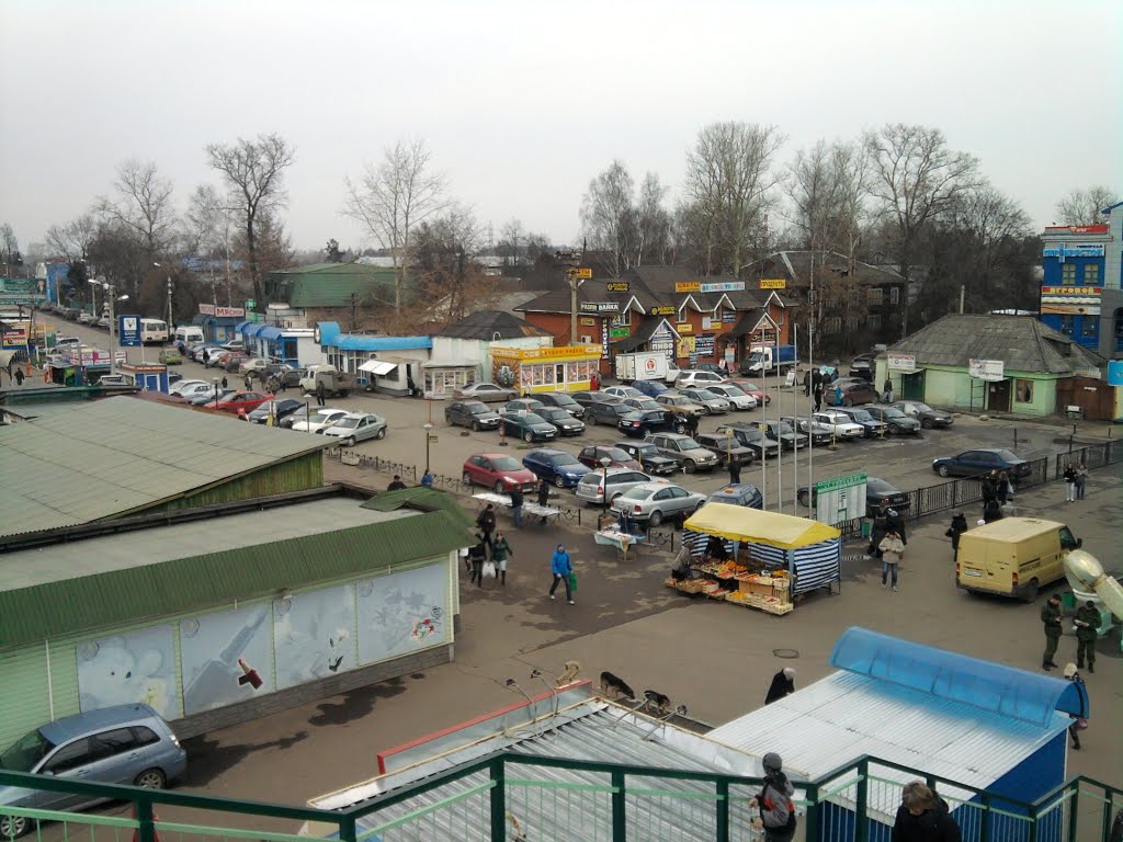 Golitsyno