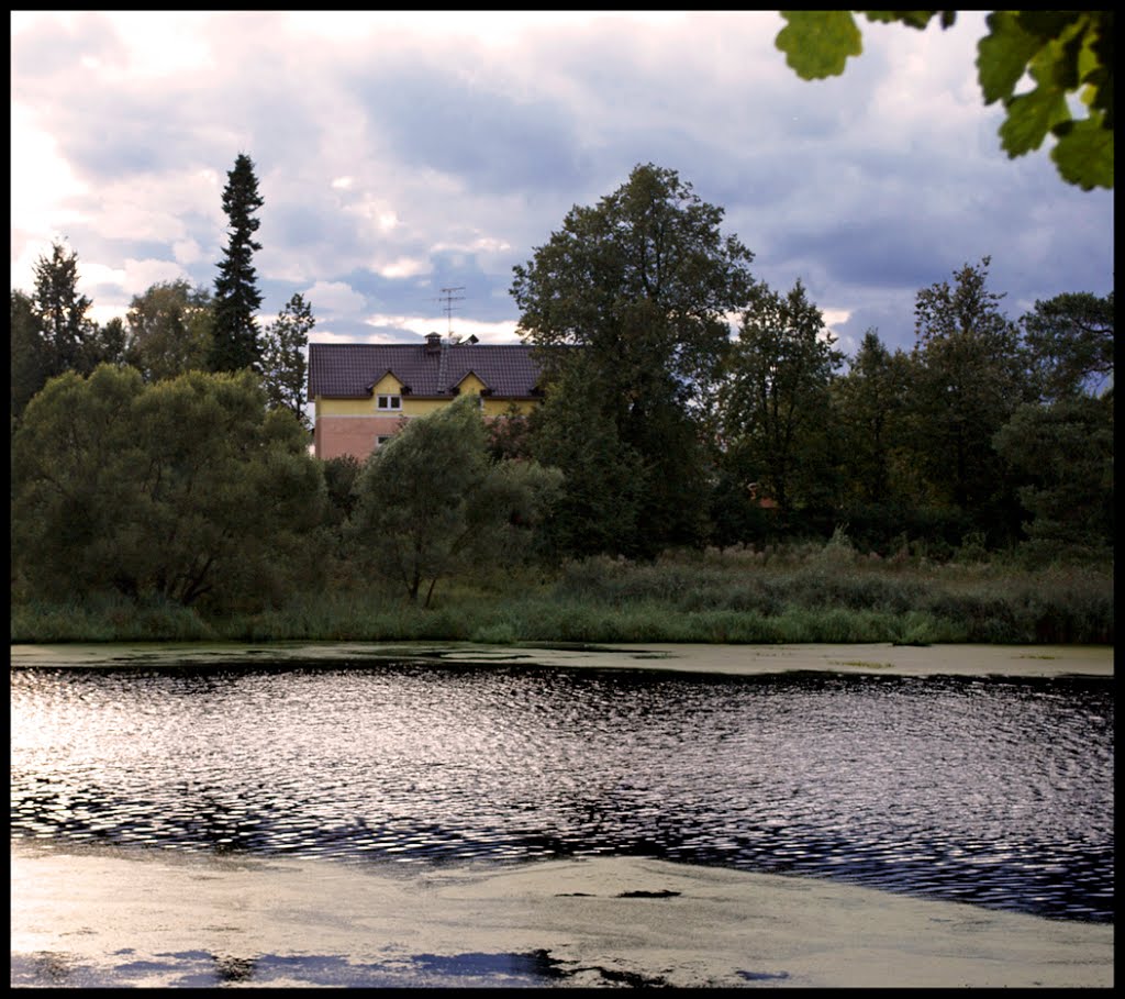 river with duckweed