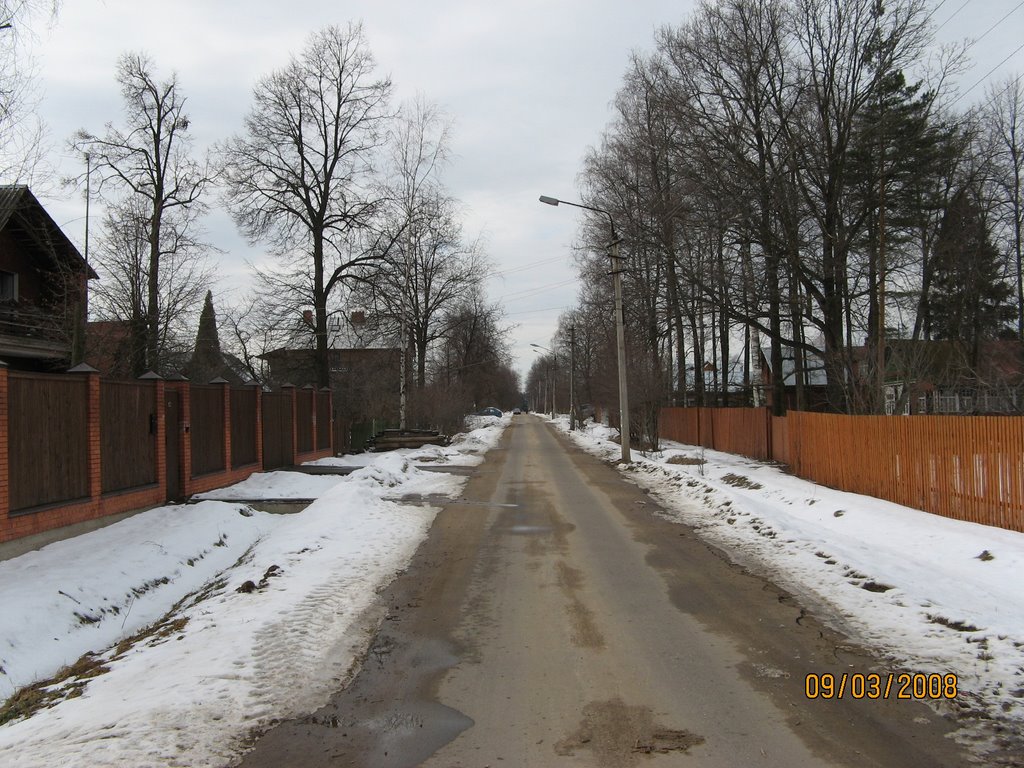 Голицыно Пушкинский проспект