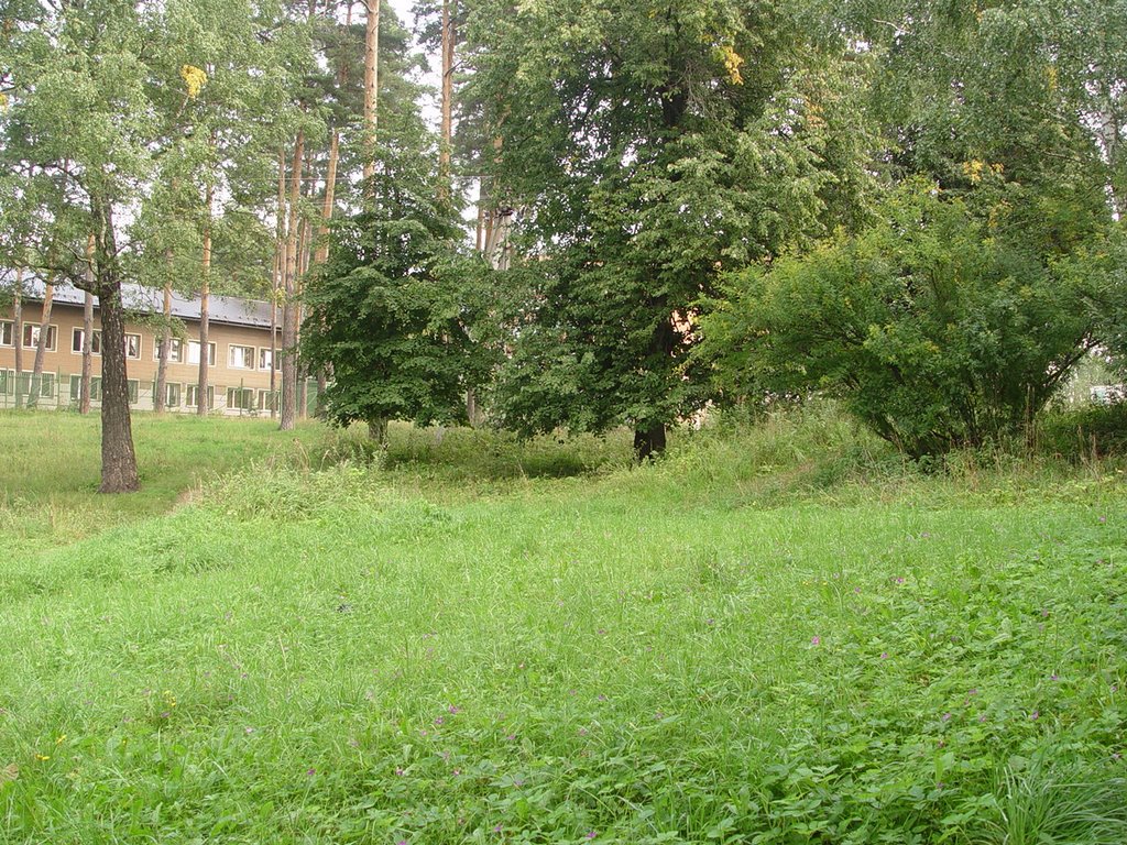 Деденёво