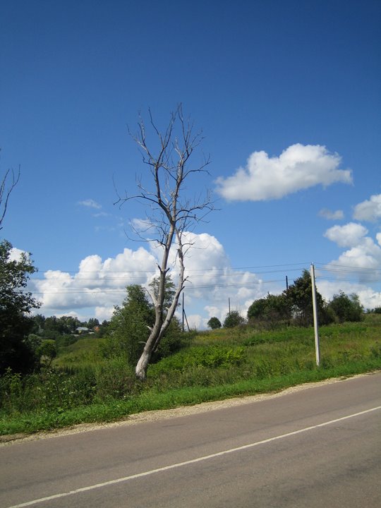 Dedenevo