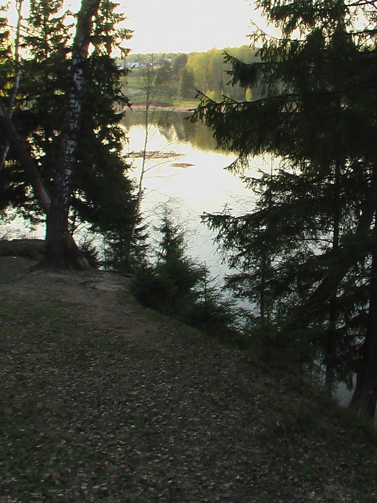Пробуждение  природы,  Яхромское  водохранилище  2008.04.29