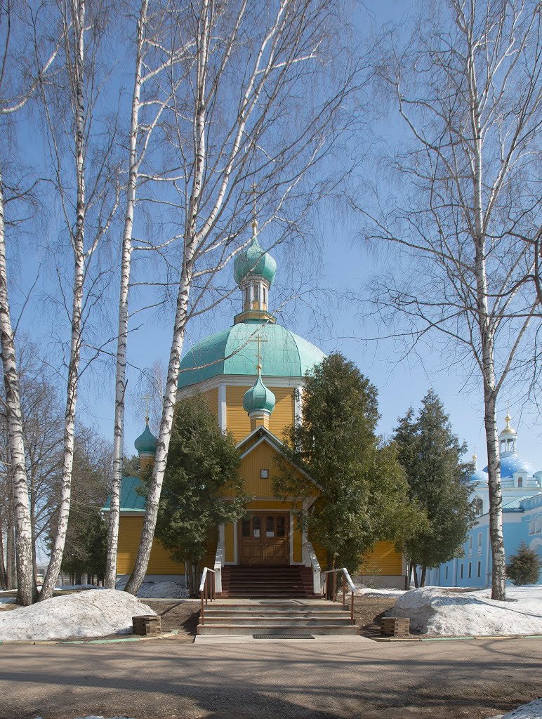 Деденевский Спасо-Влахернский монастырь. Церковь Димитрия Солунского