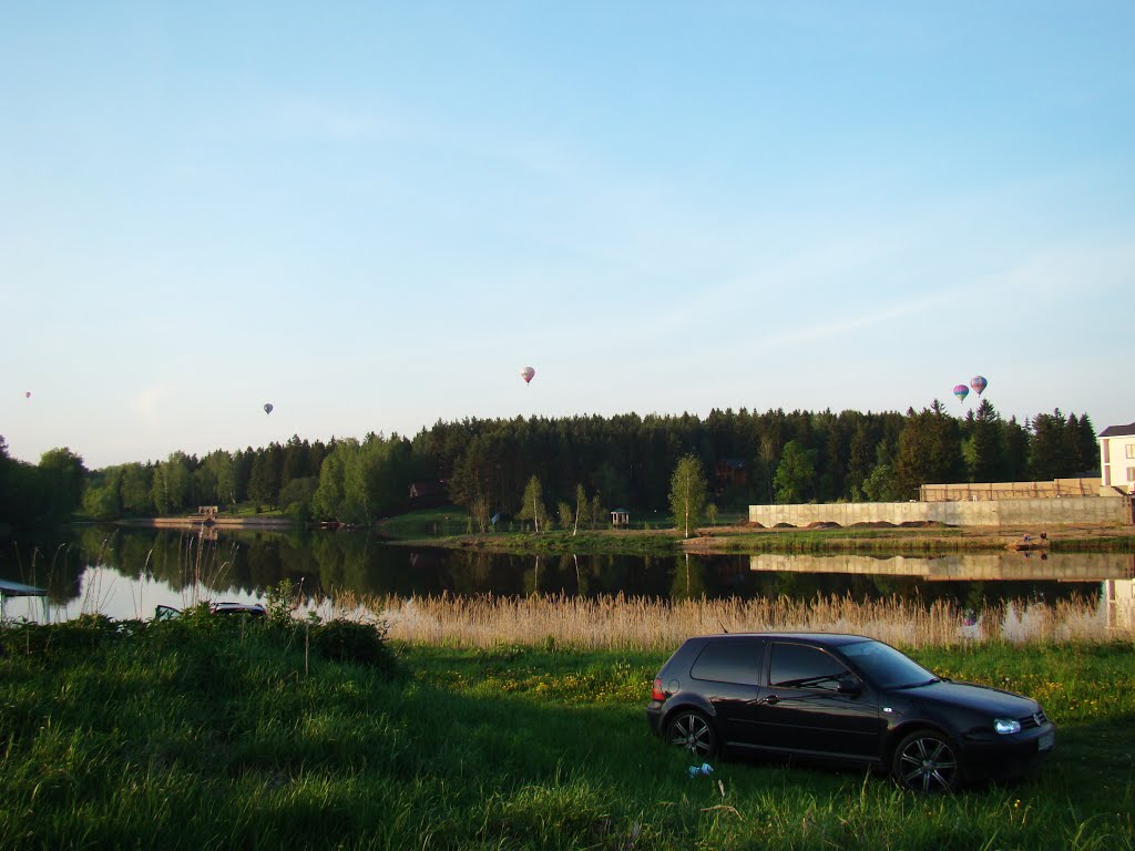 Воздухоплаватели над лесом / Balloonists over the forest
