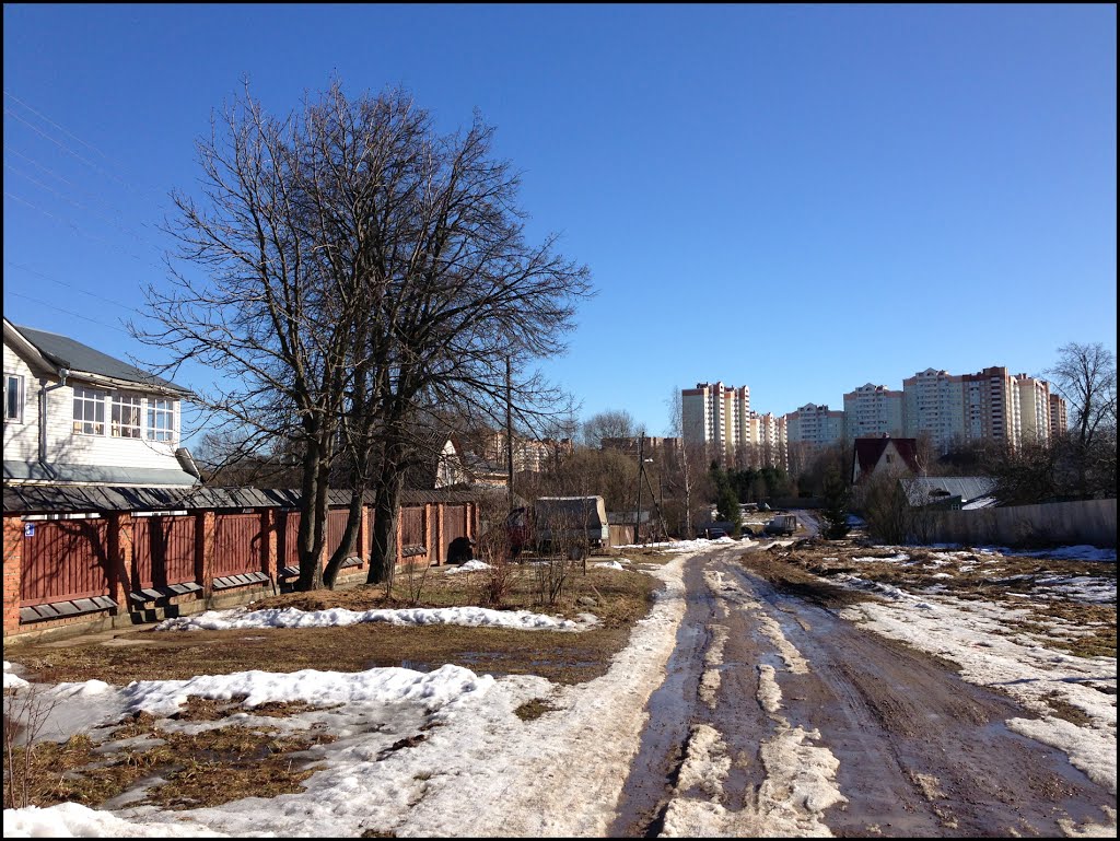 Улица Липовая