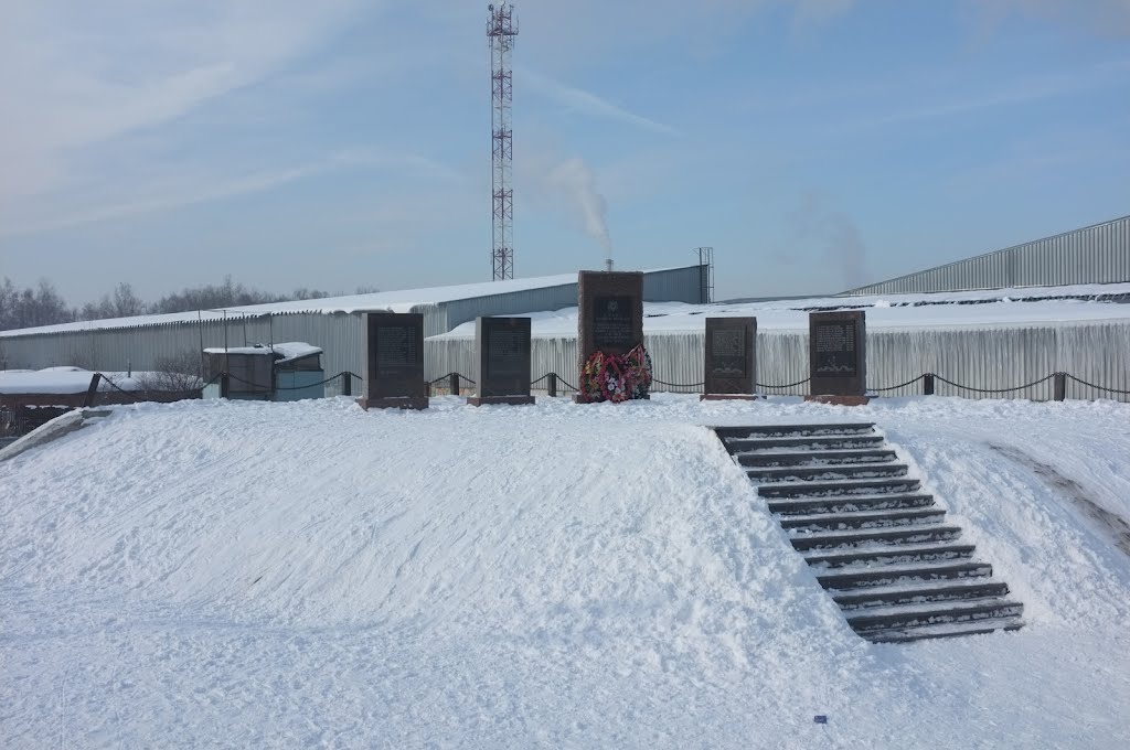 Дедовск.  Памятник погибшим во время ВОВ. Dedovsk. Monument perished during World War II