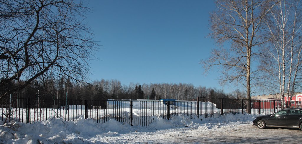 Дедовск. Стадион. Зима. Dedovsk. Stadium. Winter