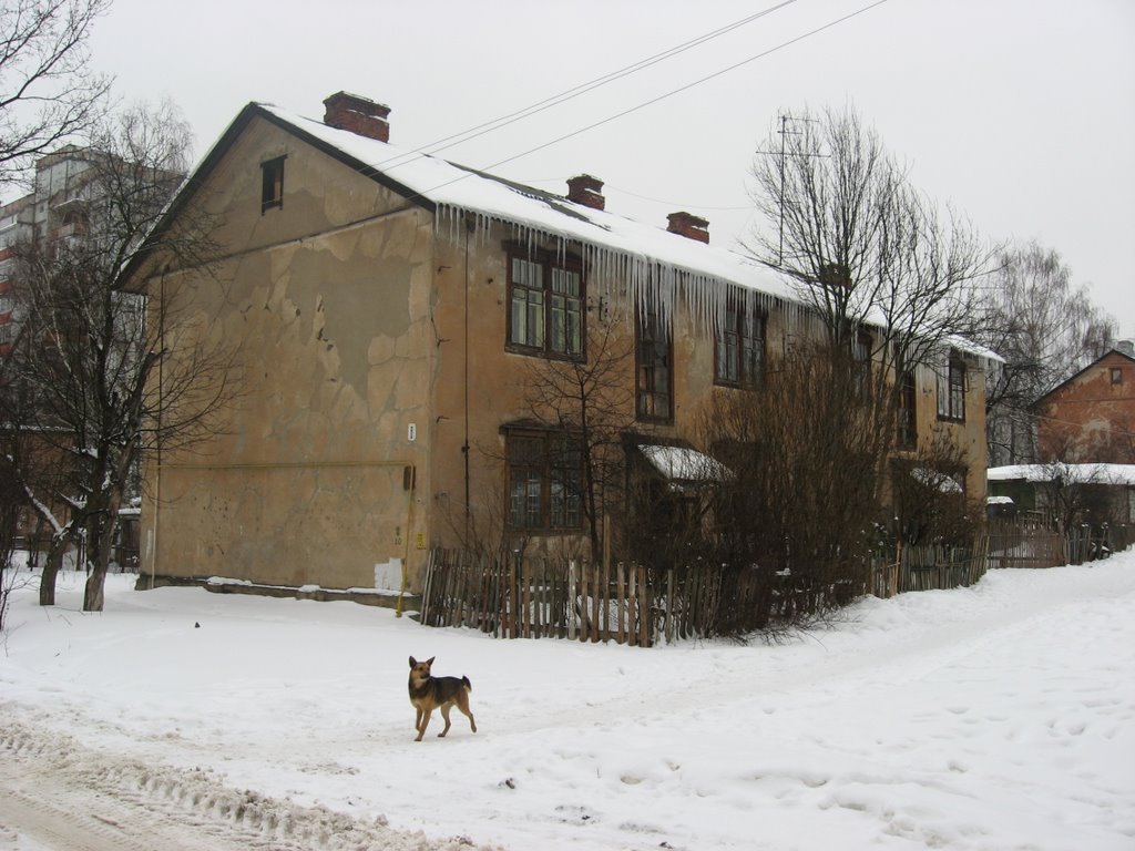 March 2007. Kurochkin street, 8