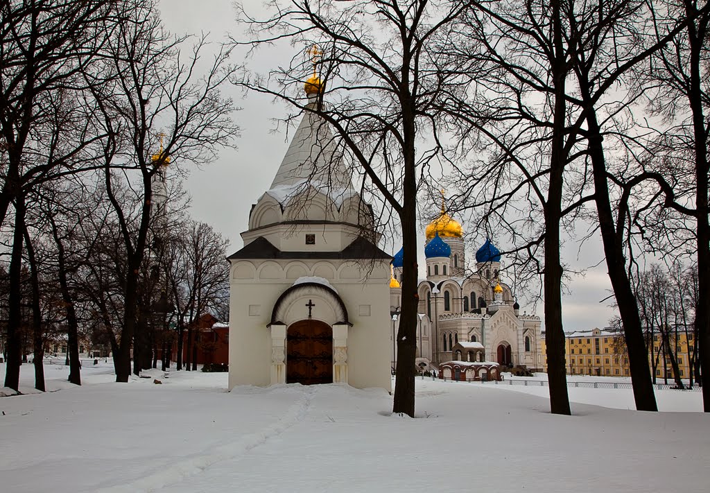 Nikolo-Ugreshskiy Monastery, Feb-2010.