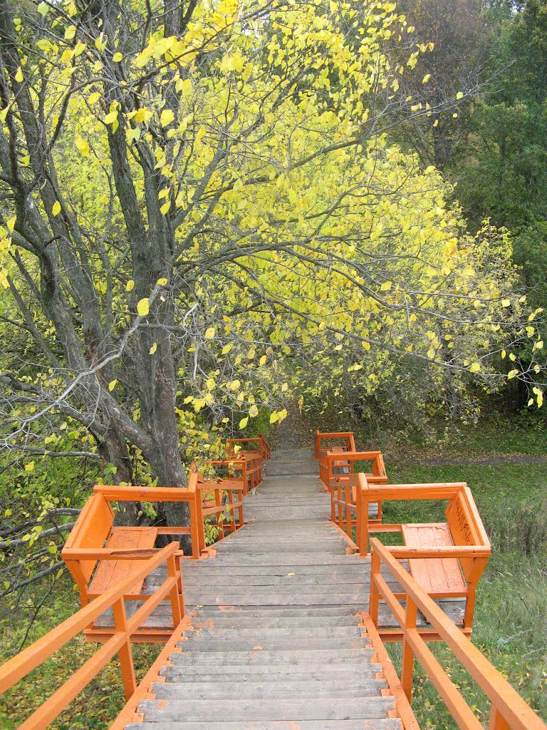 Романтическая прогулка (Romantic walk)