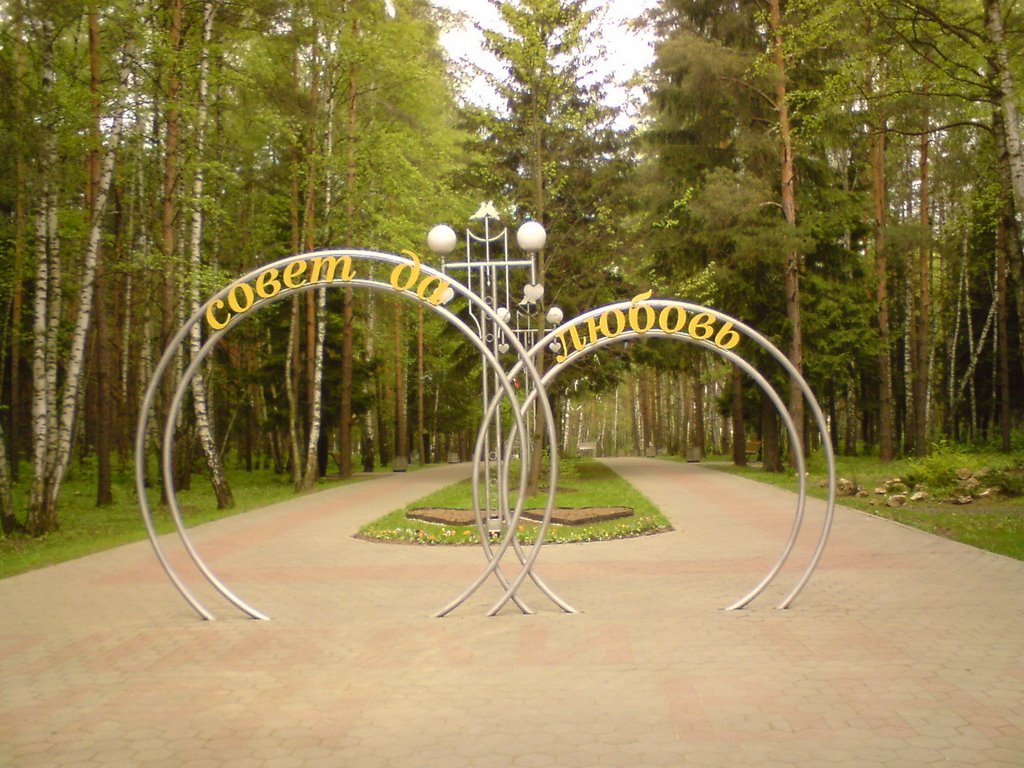 Аллея парка