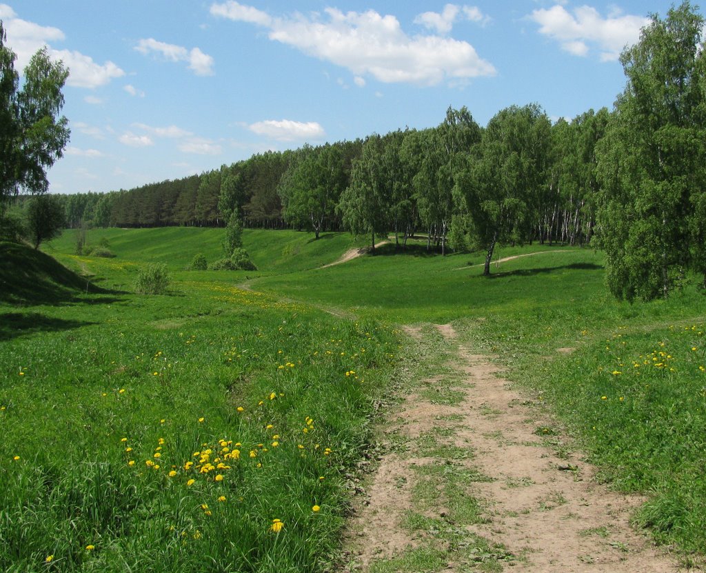 Никитские горки,июнь 2009