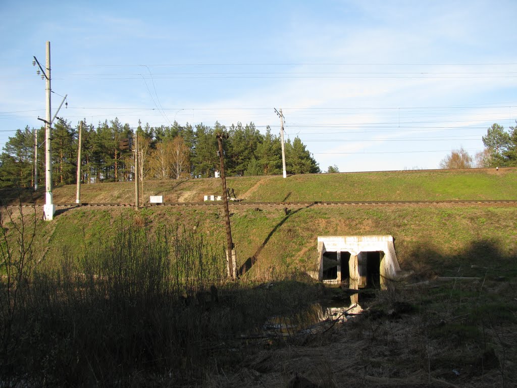 Железная дорога 2010