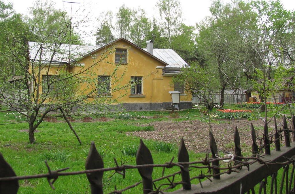Усадьба 2010