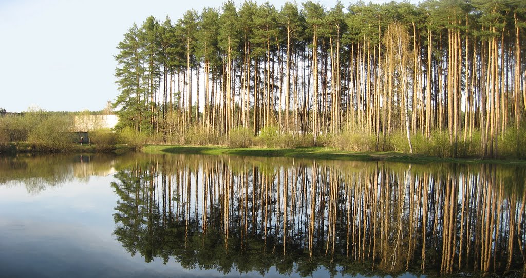 Пруд в парке 2010