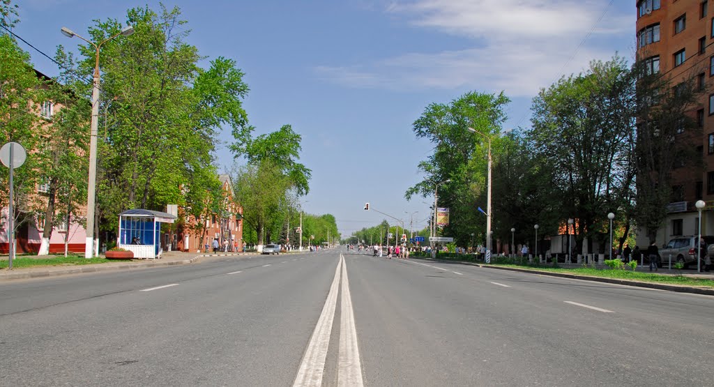 Каширское шоссе(к Москве)