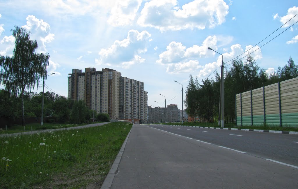 Вид на новостройку,2010