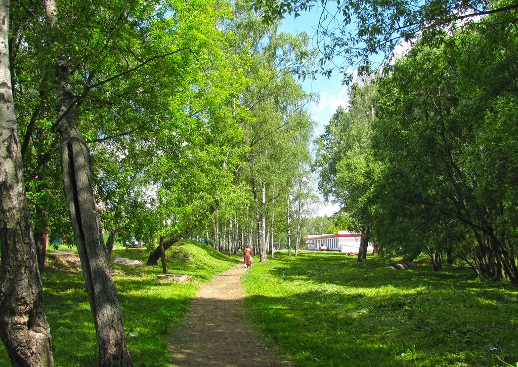ул. Лесная