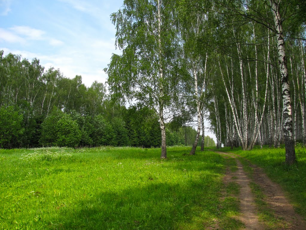 Просека