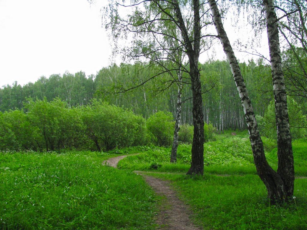 Тропа