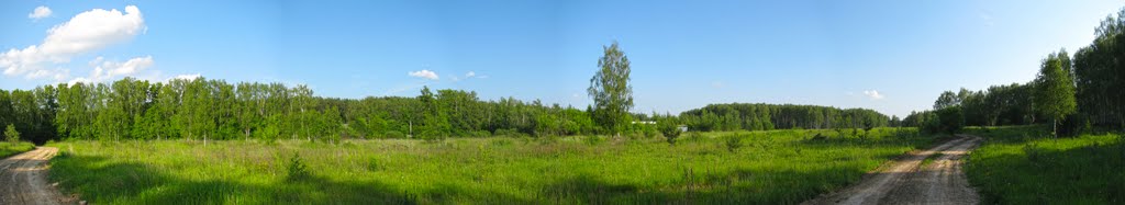 Поле