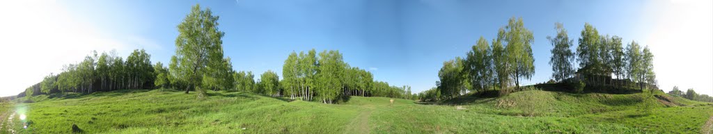 Wood, Panorama (180°)