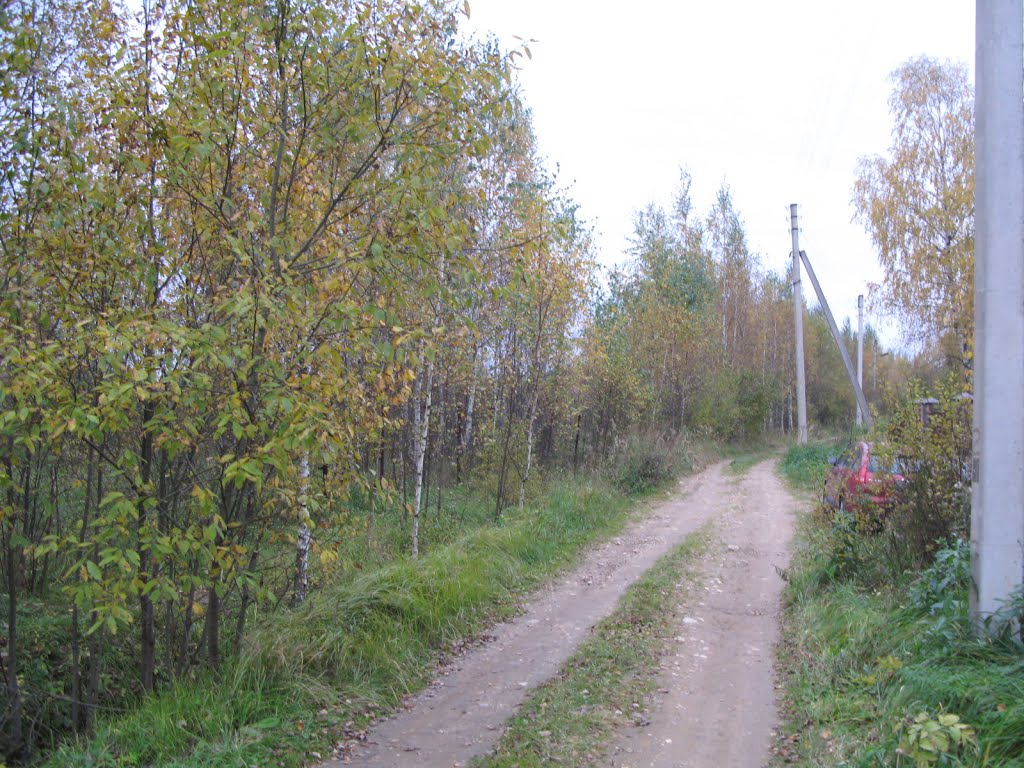 СНТ "Русь"